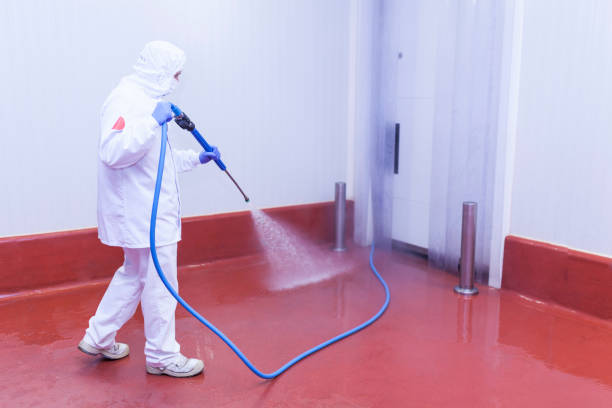 Best Graffiti Removal  in Roosevelt, NY