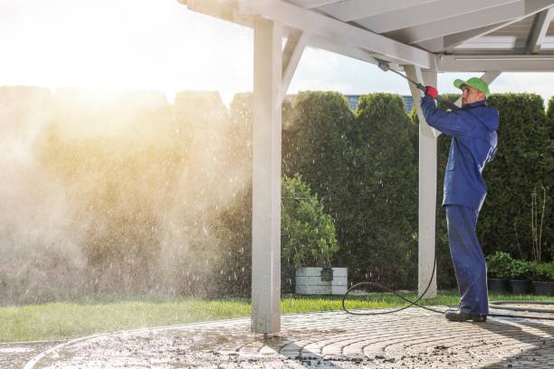 Best Driveway Pressure Washing  in Roosevelt, NY
