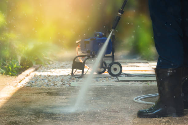 Best Rust Removal  in Roosevelt, NY